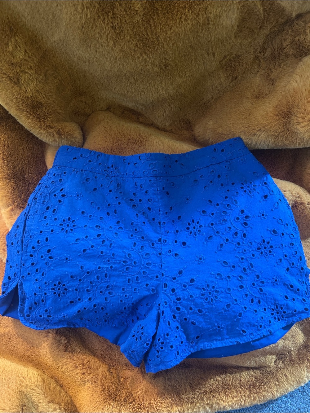 Zara Women's Blue Eyelet Shorts, XS